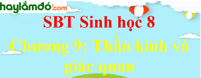 Giải SBT Sinh học lớp 8 Chương 9: Thần kinh và giác quan