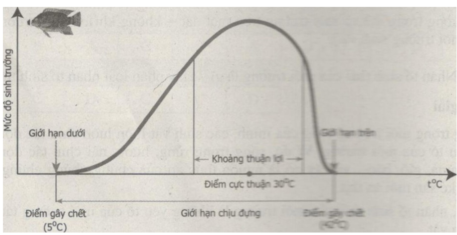 Bài tập có lời giải trang 69, 70, 71, 72, 73 SBT Sinh học 9 | Giải sách bài tập Sinh học 9 hay nhất tại VietJack