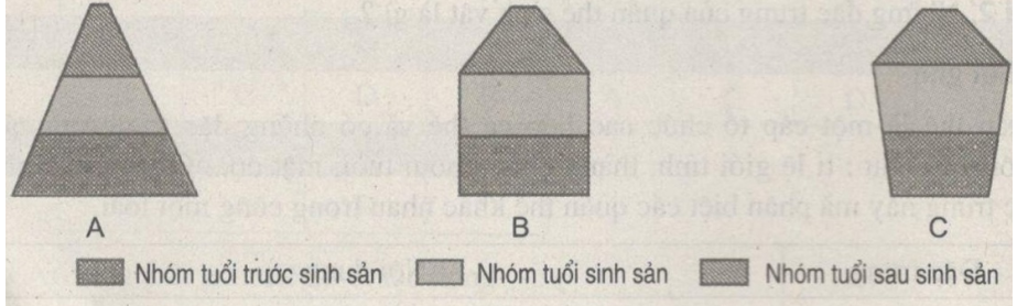 Bài tập có lời giải trang 89, 90, 91, 92, 93, 94 SBT Sinh học 9 | Giải sách bài tập Sinh học 9 hay nhất tại VietJack