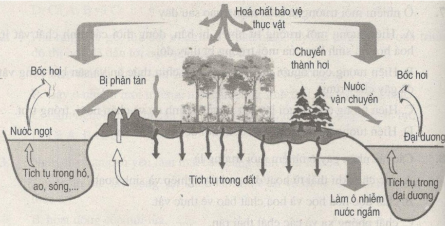 Bài tập trắc nghiệm trang 112, 113, 114, 115, 116, 117, 118, 119 SBT Sinh học 9 | Giải sách bài tập Sinh học 9 hay nhất tại VietJack