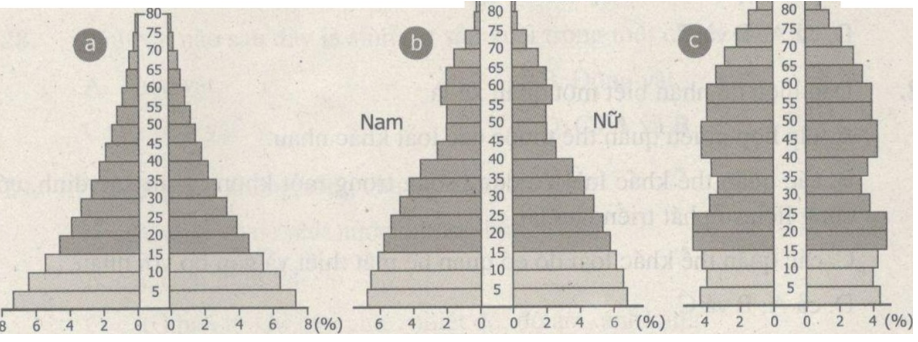 Bài tập trắc nghiệm trang 96, 97, 98, 99, 100, 101, 102, 103 SBT Sinh học 9 | Giải sách bài tập Sinh học 9 hay nhất tại VietJack