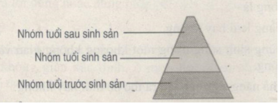 Bài tập trắc nghiệm trang 96, 97, 98, 99, 100, 101, 102, 103 SBT Sinh học 9 | Giải sách bài tập Sinh học 9 hay nhất tại VietJack