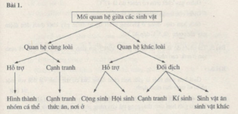 Bài tập tự luận trang 74, 75, 76 SBT Sinh học 9 | Giải sách bài tập Sinh học 9 hay nhất tại VietJack