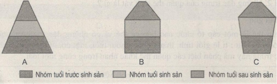 Bài tập tự luận trang 94, 95 SBT Sinh học 9 | Giải sách bài tập Sinh học 9 hay nhất tại VietJack