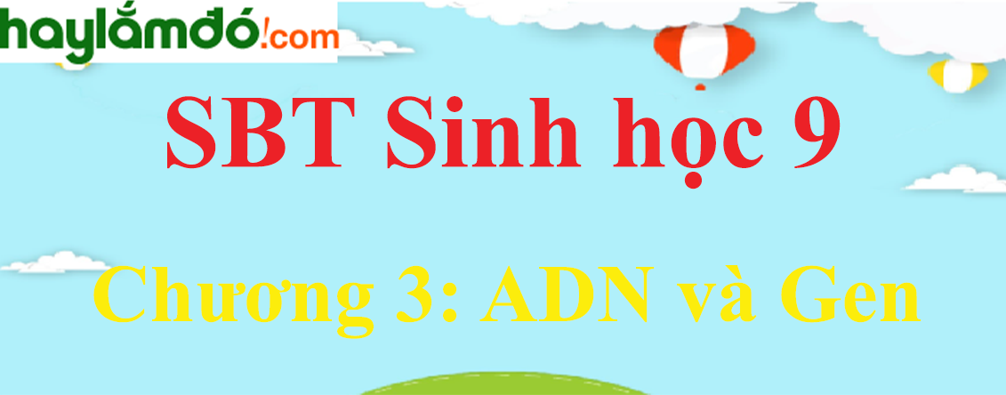 Giải SBT Sinh học lớp 9 Chương 3: ADN và Gen