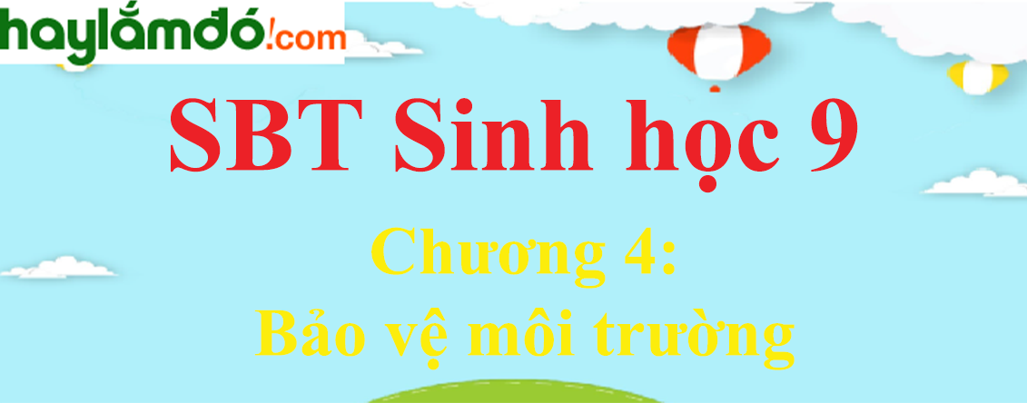 Giải SBT Sinh học lớp 9 Chương 4: Bảo vệ môi trường