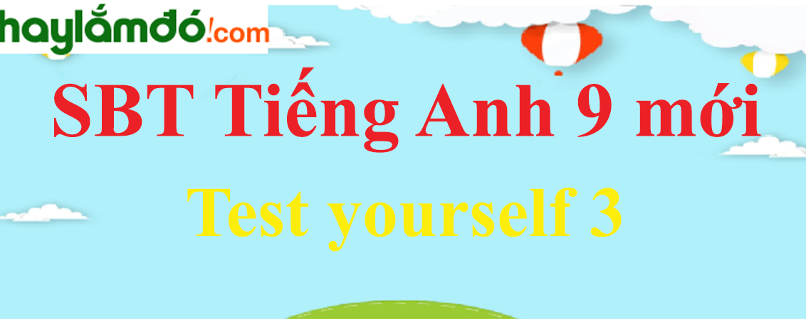 Giải SBT Tiếng Anh lớp 9 mới Test yourself 3