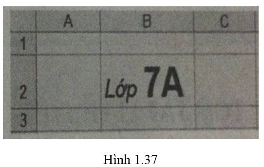 Bài 14 trang 41 Sách bài tập Tin học lớp 7 | Giải sách bài tập Tin học 7 hay nhất tại VietJack