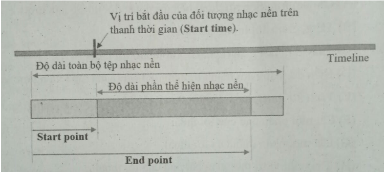 Bài 1, 2, 3, 4, 5, 6, 7, 8, 9, 10, 11, 12, 13, 14 trang 102, 103, 104, 105, 106, 107 SBT Tin học 9 | Giải sách bài tập Tin học 9 hay nhất tại VietJack