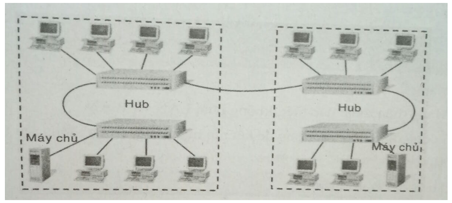 Bài 14, 15, 16, 17, 18, 19, 20 trang 10, 11, 12 SBT Tin học 9 | Giải sách bài tập Tin học 9 hay nhất tại VietJack