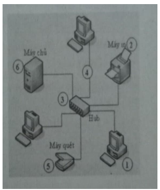 Bài 6 trang 7 SBT Tin học 9 | Giải sách bài tập Tin học 9 hay nhất tại VietJack