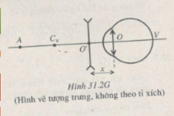 Giải sách bài tập Vật Lí 11 | Giải sbt Vật Lí 11