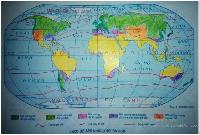 Tập bản đồ Địa Lí 7 Bài 13: Môi trường đới ôn hòa | Giải tập bản đồ Địa Lí 7