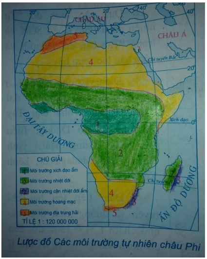 Tập bản đồ Địa Lí 7 Bài 27: Thiên nhiên châu Phi (tiếp theo) | Giải tập bản đồ Địa Lí 7