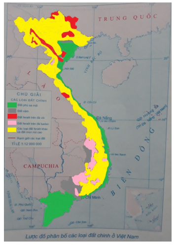 Tập bản đồ Địa Lí 8 Bài 36: Đặc điểm đất Việt Nam | Giải tập bản đồ Địa Lí lớp 8