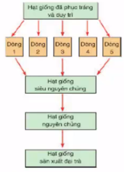 Giải vở bài tập Công nghệ 7 | Giải Vở bài tập Công nghệ 7