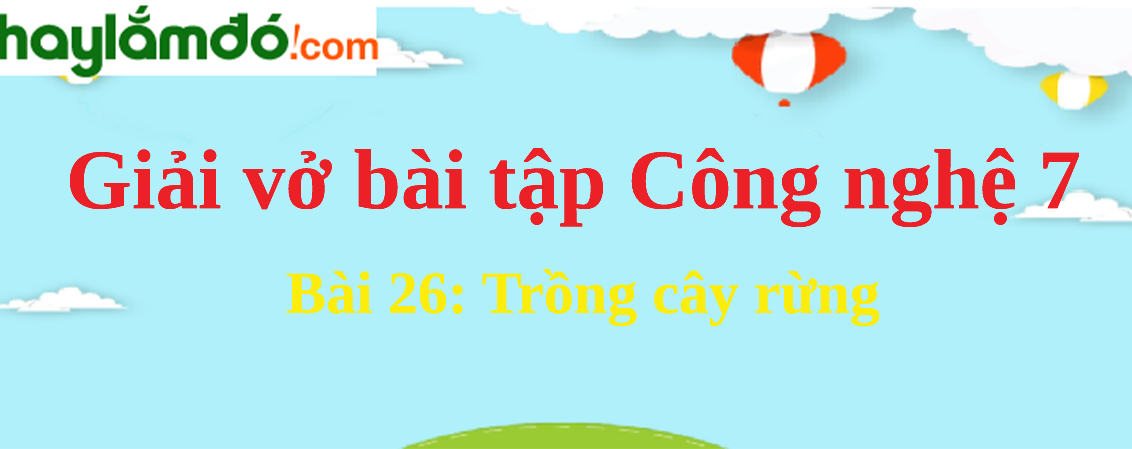 Bài 26: Trồng cây rừng