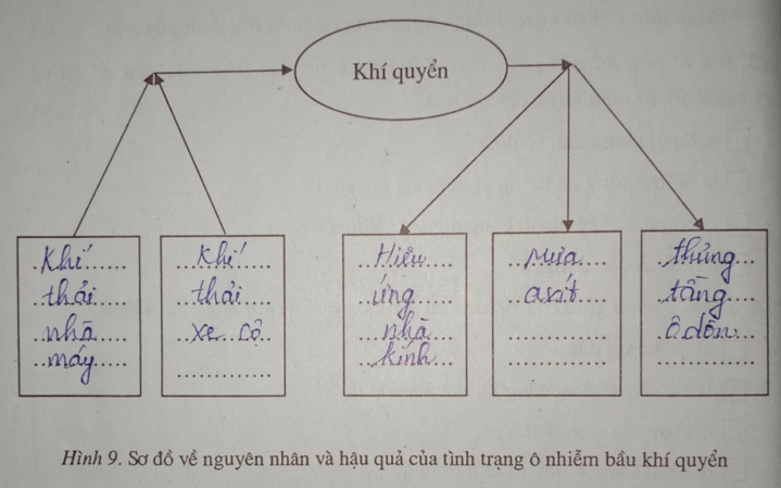 Bài 17: Ô nhiễm môi trường ở đới ôn hòa