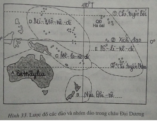 Bài 48: Thiên nhiên châu Đại Dương