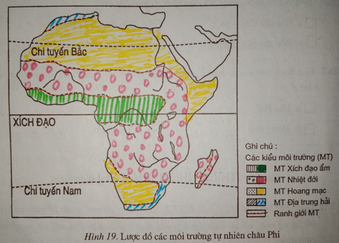 Bài 27: Thiên nhiên châu Phi (tiếp theo)