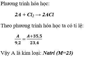 Bài 22: Luyện tập chương 2: Kim loại