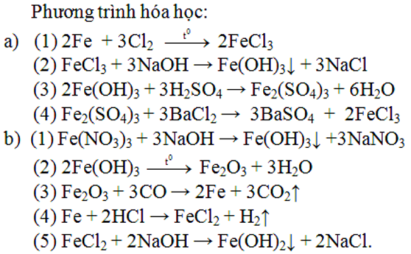 Bài 24: Ôn tập học kì 1