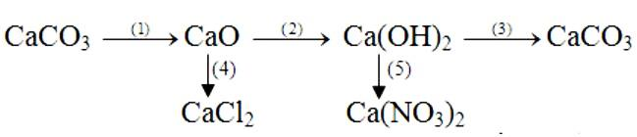 Bài 8: Một số bazơ quan trọng: Canxi Hidroxit ( Ca(OH)<sub>2</sub> )