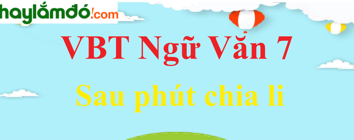 Giải VBT Ngữ Văn 7 Sau phút chia li