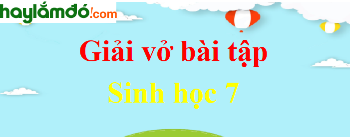 Vở Bài Tập Sinh Học Lớp 7 - Giải Vở Bài Tập Sinh Học 7 Hay, Ngắn