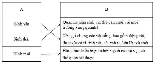 Vở bài tập Tiếng Việt lớp 5 Tập 1 trang 81, 82 - Luyện từ và câu