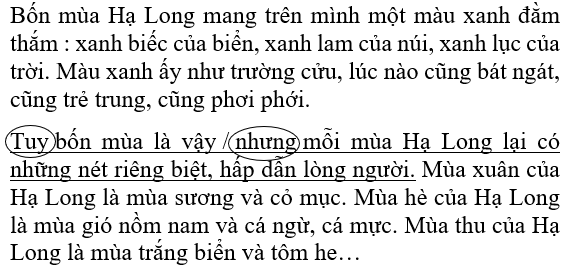 Vở bài tập Tiếng Việt lớp 5 Tập 2 trang 25, 26 - Luyện từ và câu