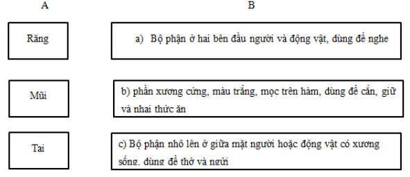 Vở bài tập Tiếng Việt lớp 5 Tập 1 trang 41, 42, 43 - Luyện từ và câu