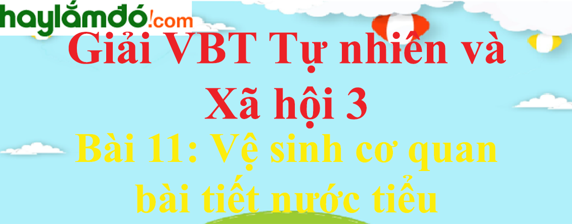 Vở bài tập Tự nhiên và Xã hội lớp 3 Bài 11: Vệ sinh cơ quan bài tiết nước tiểu