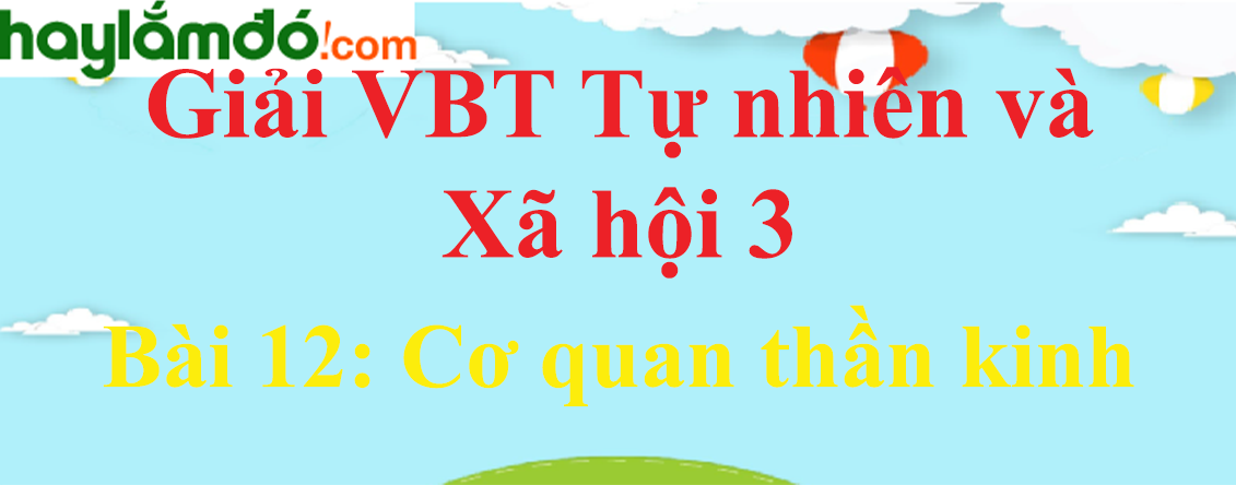 Vở bài tập Tự nhiên và Xã hội lớp 3 Bài 12: Cơ quan thần kinh