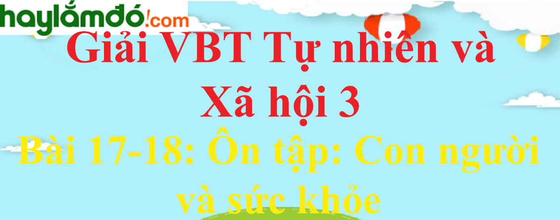 Vở bài tập Tự nhiên và Xã hội lớp 3 Bài 17-18: Ôn tập: Con người và sức khỏe