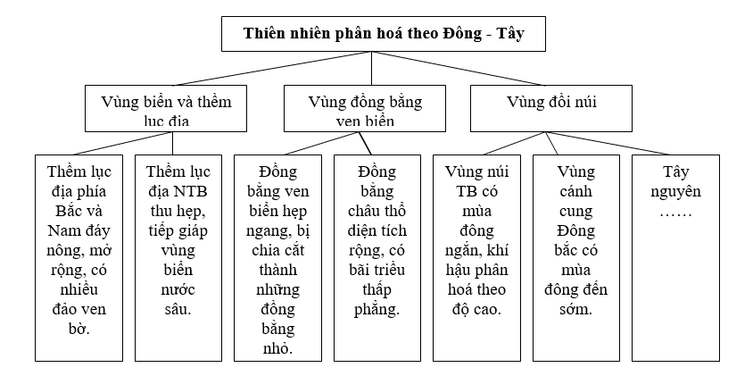 Giáo án Địa Lí 12 Bài 11: Thiên Nhiên Phân Hóa đa Dạng 