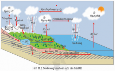 Giáo án Địa Lí 6 Bài 17: Các thành phần chủ yếu của thủy quyển. Tuần hoàn nước trên Trái Đất | Cánh diều