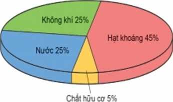 Giáo án Địa Lí 6 Bài 22: Lớp đất trên Trái Đất | Kết nối tri thức (ảnh 1)