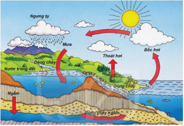 Giáo án Địa Lí 6 Bài 16: Thủy quyền. Vòng tuần hoàn nước. Nước ngầm, băng hà | Chân trời sáng tạo