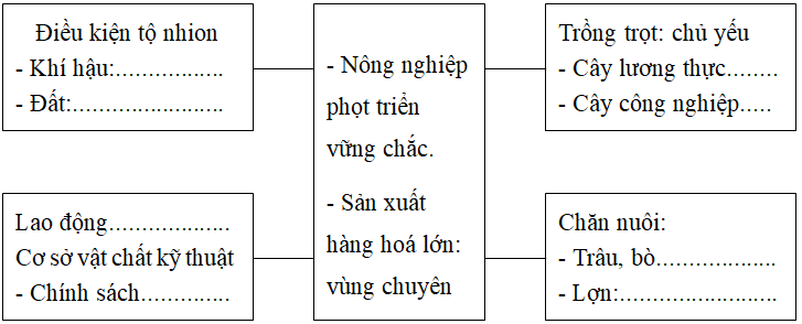 Giáo án Địa Lí 9 Ôn tập | Giáo án Địa Lí 9 mới, chuẩn nhất