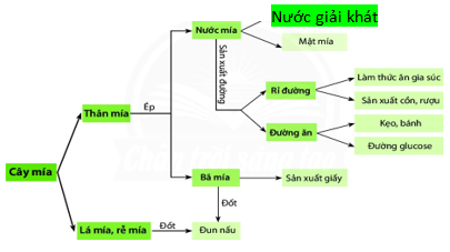 Giáo án KHTN 6 Bài 13: Một số nguyên liệu | Giáo án Khoa học tự nhiên 6 Chân trời sáng tạo