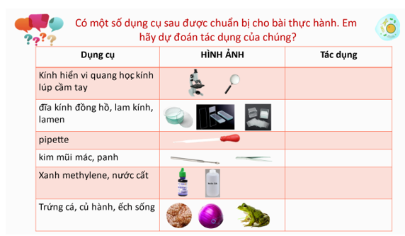 Giáo án KHTN 6 Bài 18: Thực hành quan sát tế bào sinh vật | Giáo án Khoa học tự nhiên 6 Chân trời sáng tạo