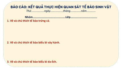 Giáo án KHTN 6 Bài 18: Thực hành quan sát tế bào sinh vật | Giáo án Khoa học tự nhiên 6 Chân trời sáng tạo