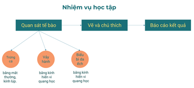 Giáo án KHTN 6 Bài 18: Thực hành quan sát tế bào sinh vật | Giáo án Khoa học tự nhiên 6 Chân trời sáng tạo