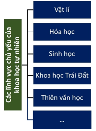 Giáo án KHTN 6 Bài 2: Các lĩnh vực chủ yếu của khoa học tự nhiên | Giáo án Khoa học tự nhiên 6 Chân trời sáng tạo