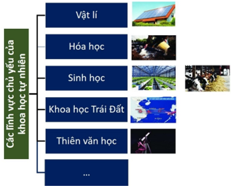 Giáo án KHTN 6 Bài 2: Các lĩnh vực chủ yếu của khoa học tự nhiên | Giáo án Khoa học tự nhiên 6 Chân trời sáng tạo