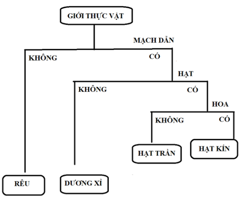 Giáo án KHTN 6 Bài 30: Thực hành phân loại thực vật | Giáo án Khoa học tự nhiên 6 Chân trời sáng tạo