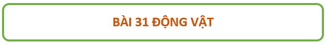 Giáo án KHTN 6 Bài 31: Động vật | Giáo án Khoa học tự nhiên 6 Chân trời sáng tạo