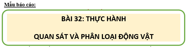 Giáo án KHTN 6 Bài 32: Thực hành quan sát và phân loại thực vật ngoài thiên nhiên | Giáo án Khoa học tự nhiên 6 Chân trời sáng tạo