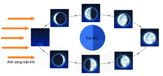 Giáo án KHTN 6 Bài 44: Chuyển động nhìn thấy của Mặt Trời | Giáo án Khoa học tự nhiên 6 Chân trời sáng tạo